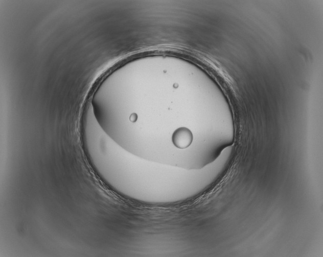 X0000112021316200908311146