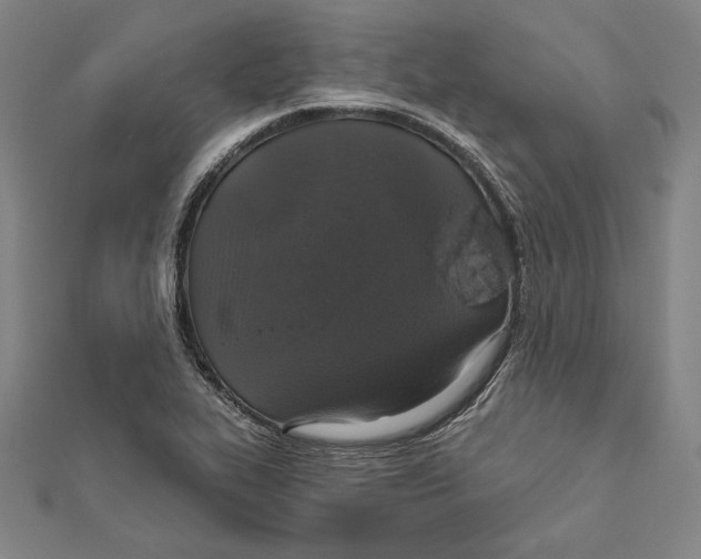 X0000112021319200908311146