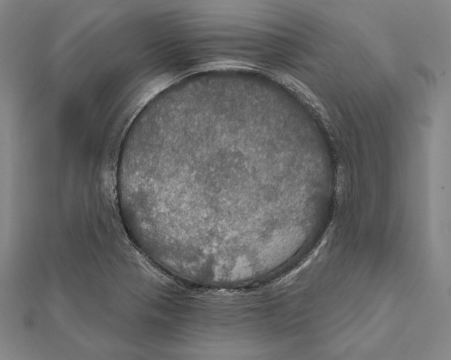 X0000112021321200908311146