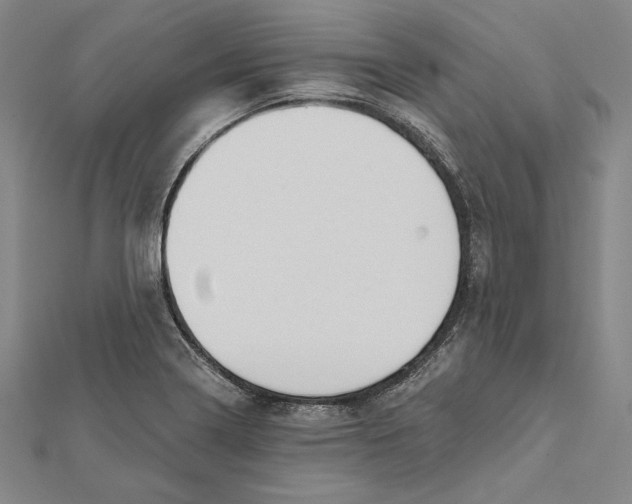 X0000112021322200908311146