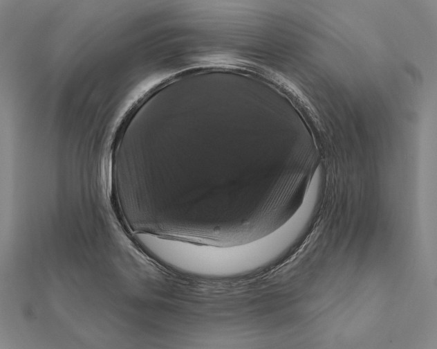 X0000112021323200908311146