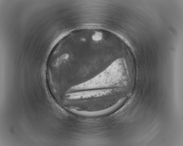 X0000112021325200908311146