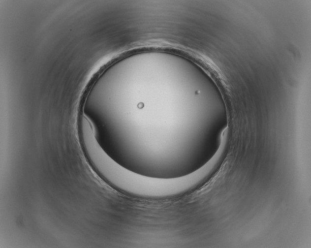 X0000112021326200908311146