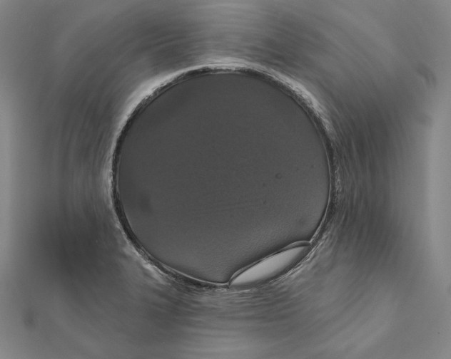 X0000112021327200908311147