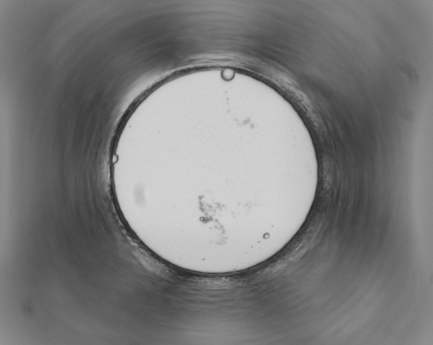 X0000112021328200908311147