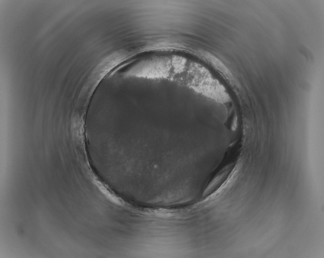 X0000112021329200908311147