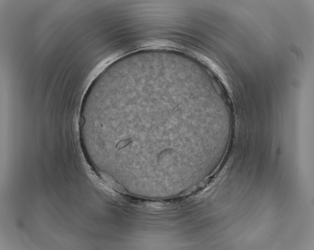 X0000112021330200908311147