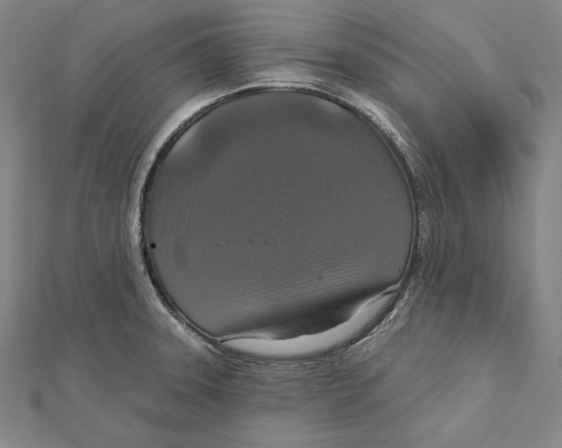 X0000112021331200908311147