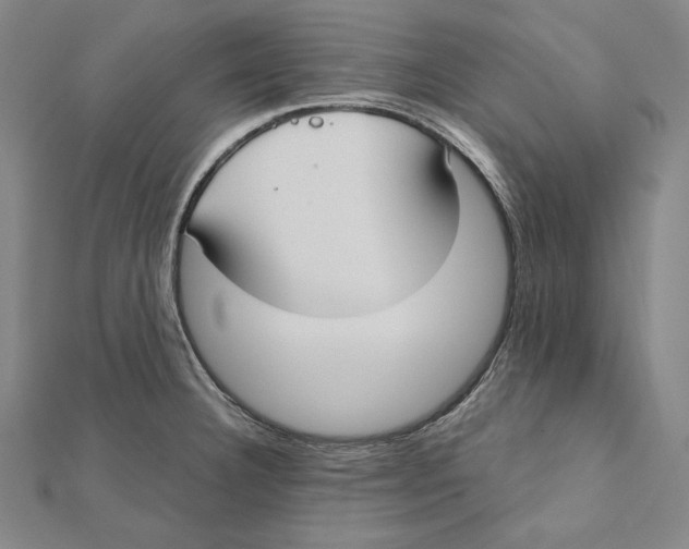 X0000112021332200908311147