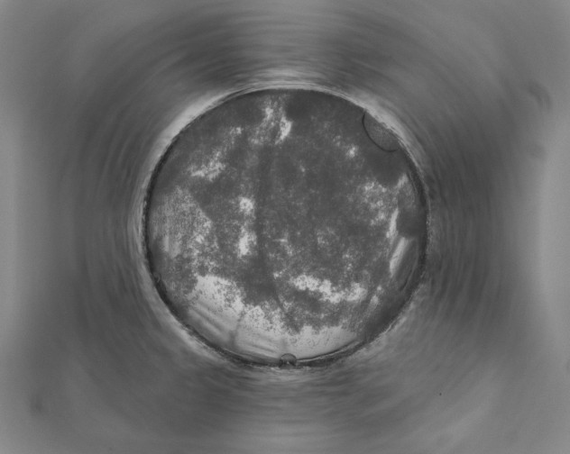 X0000112021333200908311147