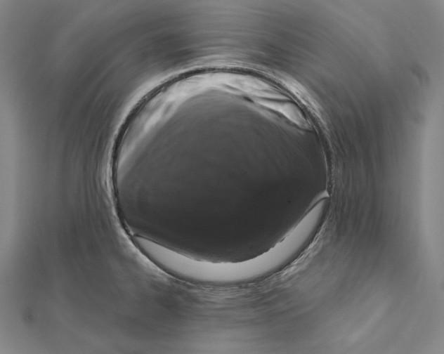 X0000112021334200908311147