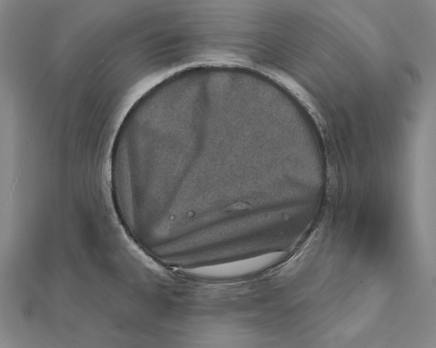 X0000112021335200908311147