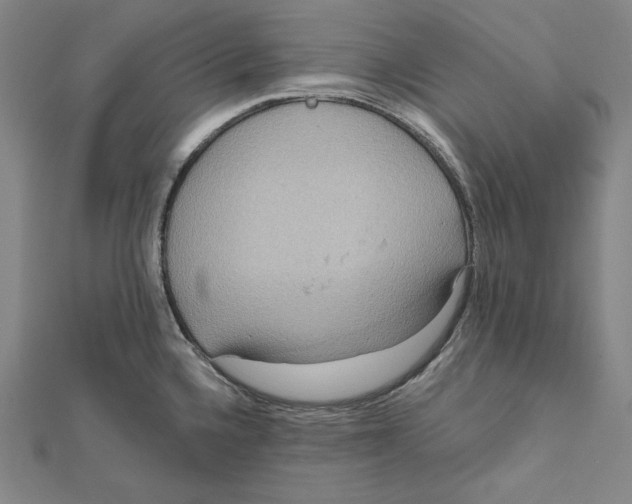 X0000112021336200908311147