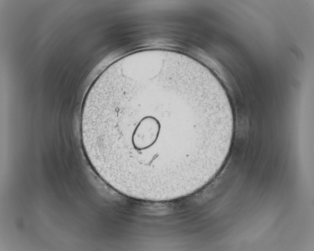 X0000112021338200908311147