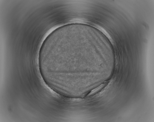 X0000112021339200908311147