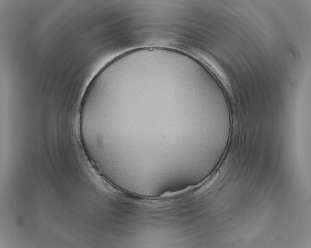 X0000112021340200908311147