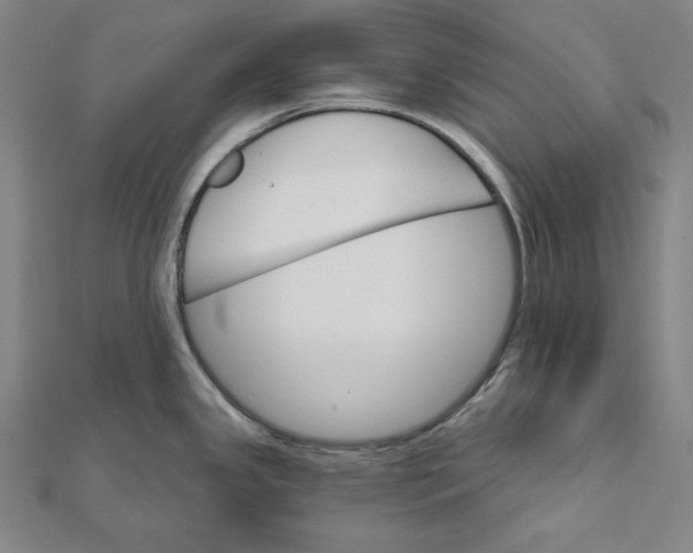 X0000112021341200908311147