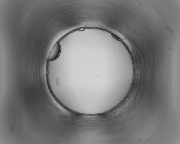 X0000112021343200908311147