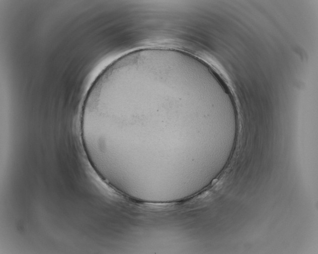 X0000112021344200908311147