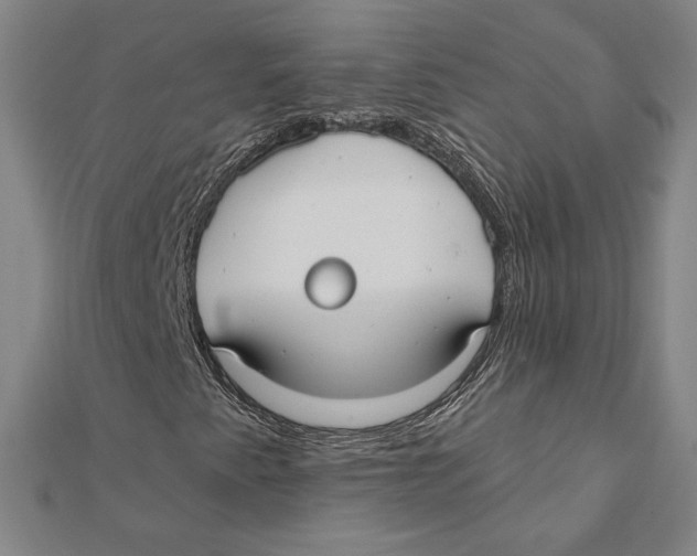 X0000112021345200908311146