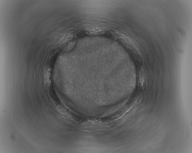 X0000112021346200908311146