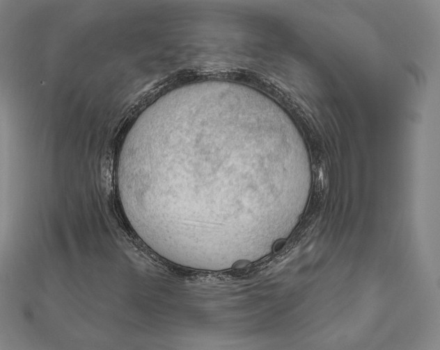 X0000112021348200908311146