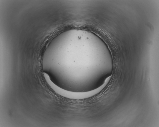 X0000112021349200908311146