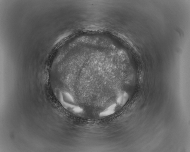 X0000112021350200908311146