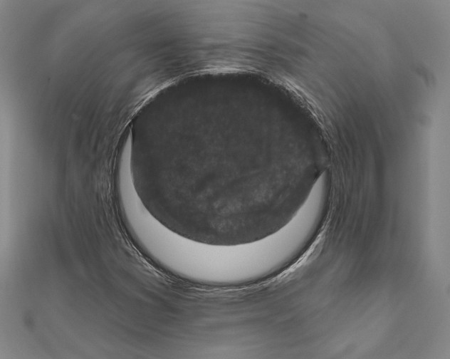 X0000112021353200908311146