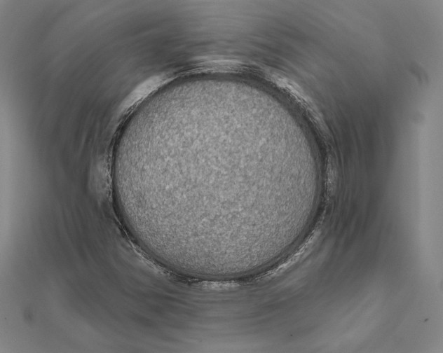 X0000112021354200908311146