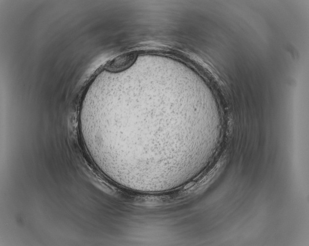 X0000112021355200908311146