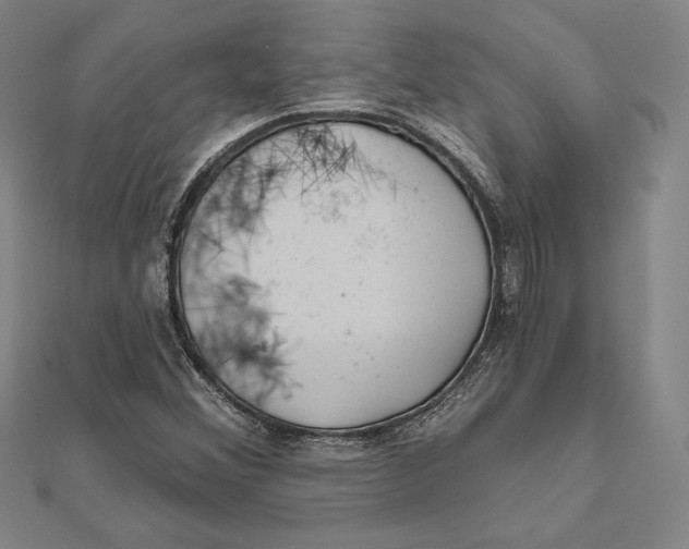 X0000112021356200908311146