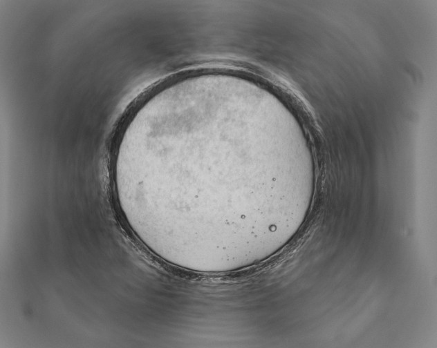 X0000112021360200908311146