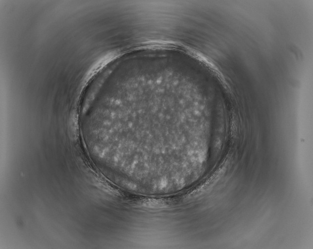 X0000112021362200908311146