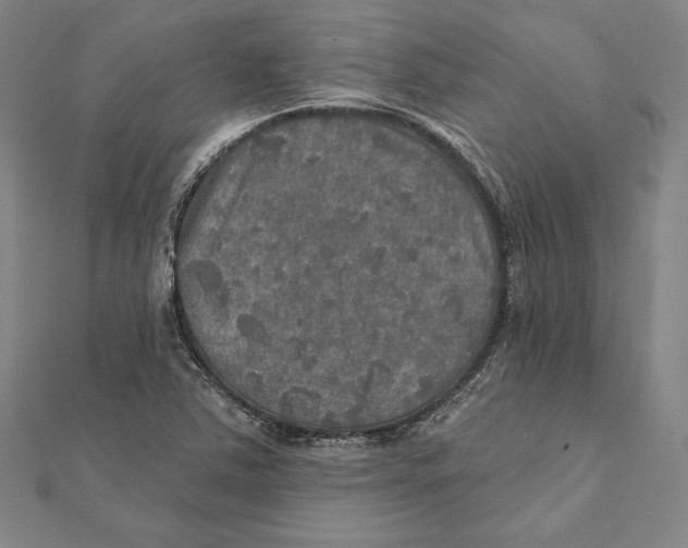 X0000112021363200908311146