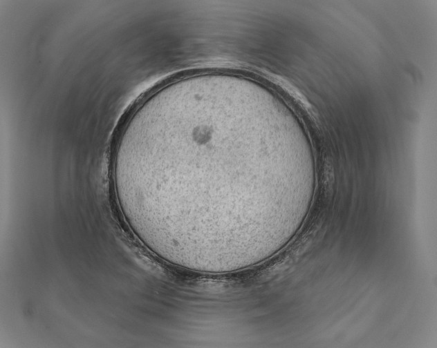 X0000112021364200908311146