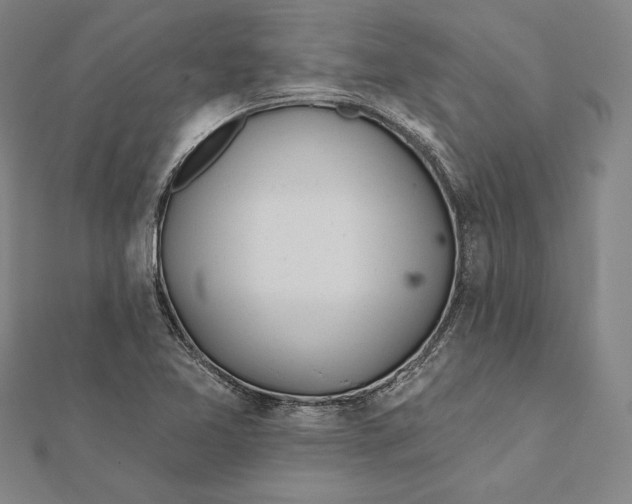 X0000112021365200908311146