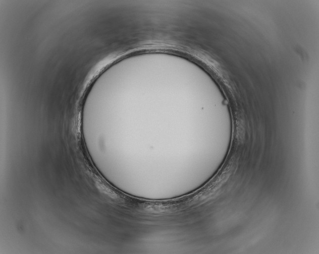 X0000112021366200908311146