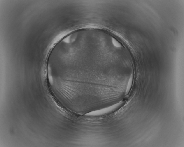 X0000112021367200908311146