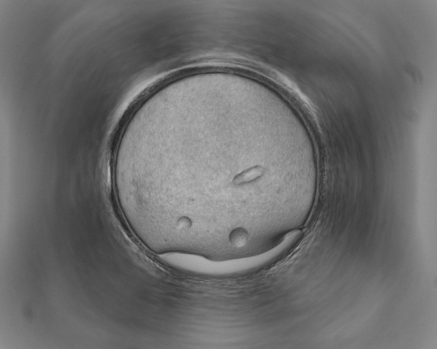 X0000112021368200908311146