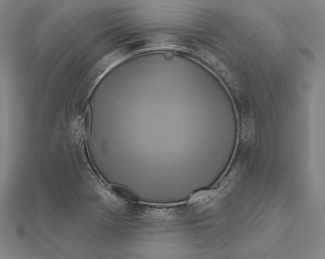 X0000112021369200908311146