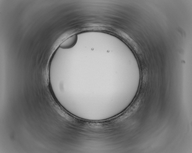 X0000112021370200908311146