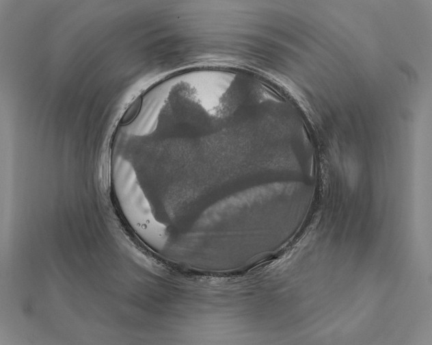 X0000112021371200908311146