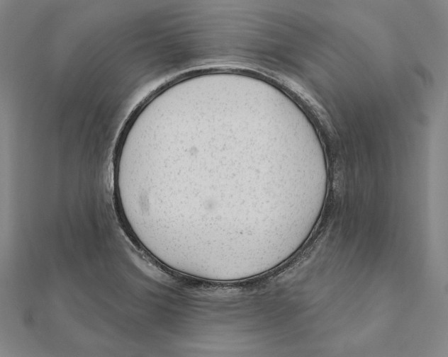 X0000112021372200908311146