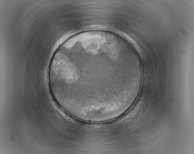 X0000112021373200908311146