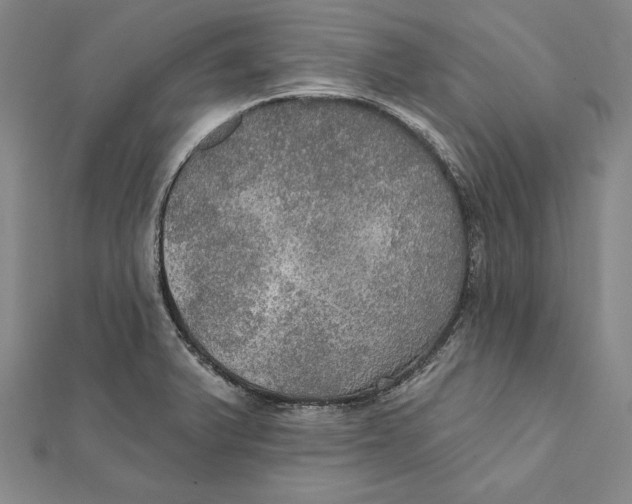 X0000112021375200908311146