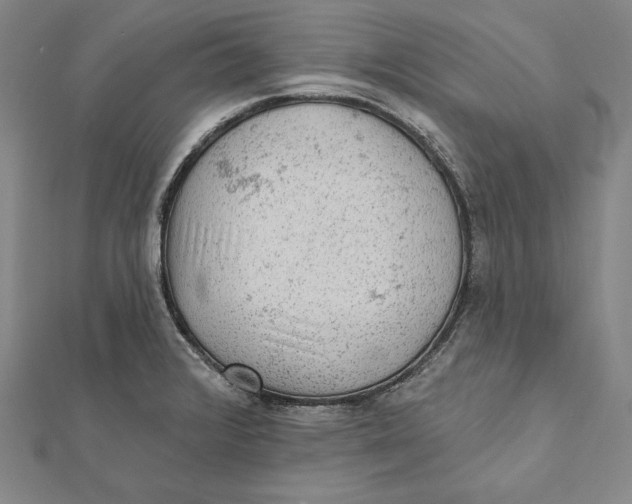 X0000112021376200908311146