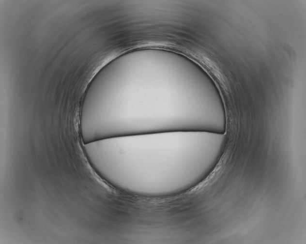 X0000112021377200908311146