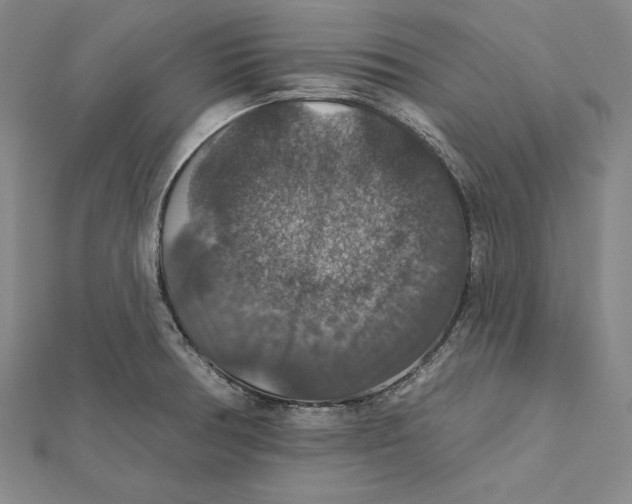 X0000112021378200908311146