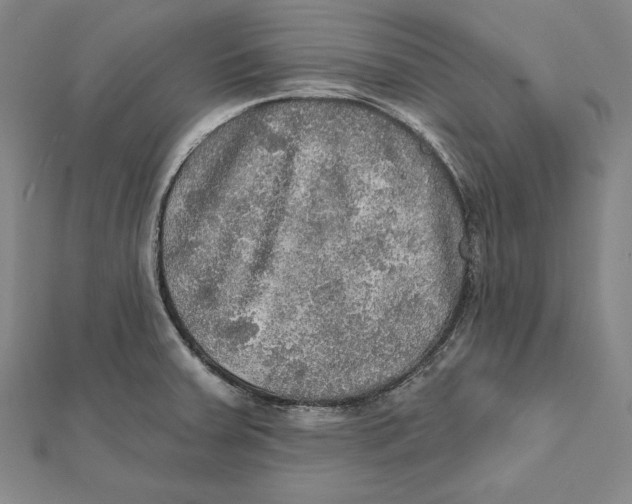 X0000112021379200908311146